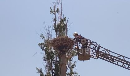Şarkışla İtfaiyesi'nden leylek operasyonu