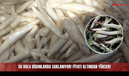 Su Dolu Bidonlarda Saklanıyor! Fiyatı Altından Yüksek!