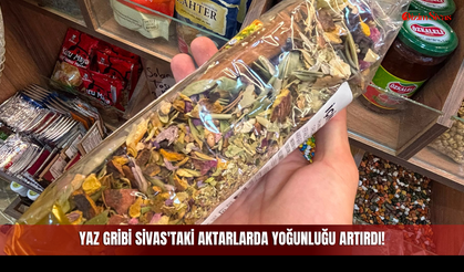 Yaz Gribi Sivas'taki Aktarlarda Yoğunluğu Artırdı!