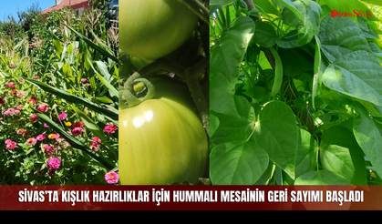 Sivas’ta Kışlık Hazırlıklar İçin Hummalı Mesainin Geri Sayımı Başladı