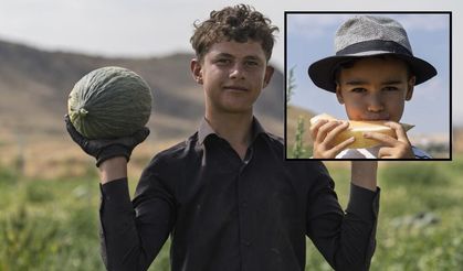 Kavun da bolluk ve lezzet var