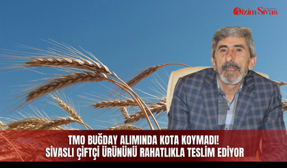 TMO buğday alımında kota koymadı! Sivaslı çiftçi ürününü rahatlıkla teslim ediyor