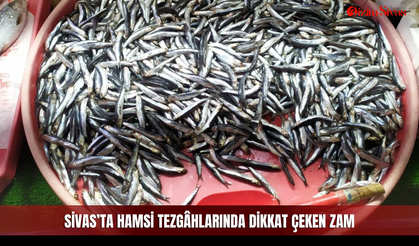 Sivas’ta hamsi tezgâhlarında dikkat çeken zam