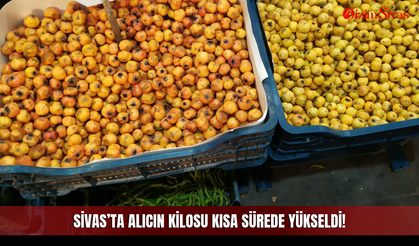 Sivas’ta alıcın kilosu kısa sürede yükseldi!