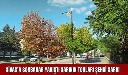 Sivas’a Sonbahar Yakıştı: Sarının Tonları Şehri Sardı