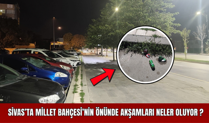 Sivas’ta Millet Bahçesi’nin Önünde Akşamları Neler Oluyor?