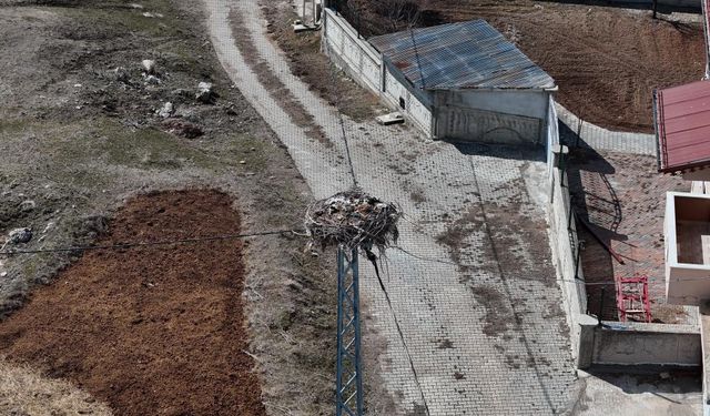Sivas Müjdeci Leyleklerini Bekliyor