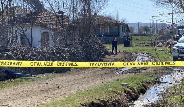 25 Koyunu Yakarak Öldürdü