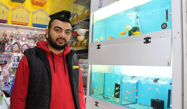 Sivas'ta Balık Değil, Kedi Köpek Devri