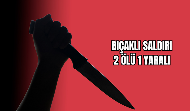 Bıçaklı Saldırı 2 Ölü 1 Yaralı