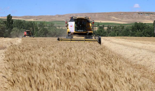 Sivas Ziraat Odası 2025 yılı biçerdöver hasat ücretlerini açıkladı