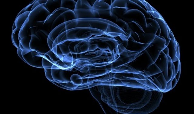 Beyninizin O Gizli Sistem Düzgün Çalışmazsa Ne Olur?