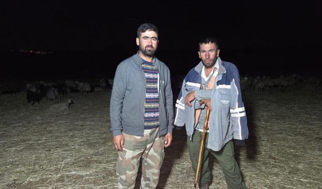 Çobanlardan Gece Mesaisi Formülü!