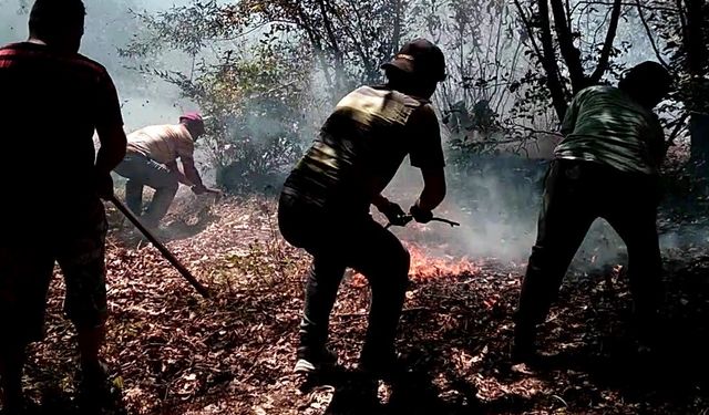 Ordu’da fındık bahçesi ve ormanlık alanda çıkan yangınlar söndürüldü