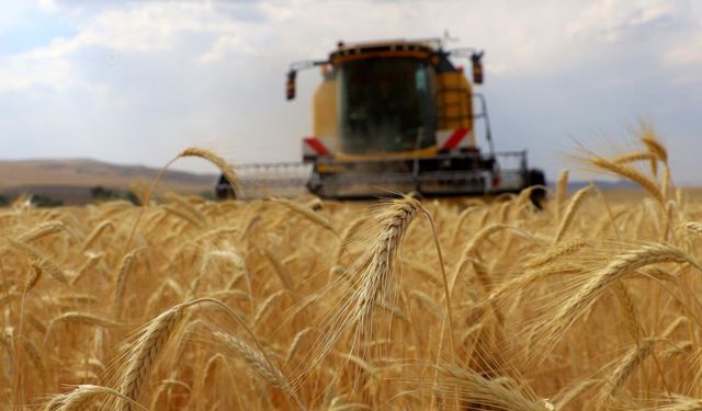 ÇKS başvuruları başlıyor! İşte dikkat edilmesi gerekenler
