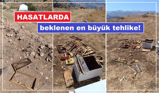 Bal hasadında korku dönemi!..