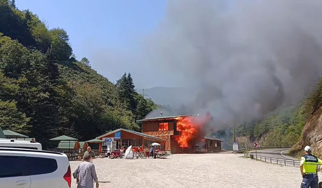 Popüler turizm merkezinde çıkan yangın herkesi üzdü