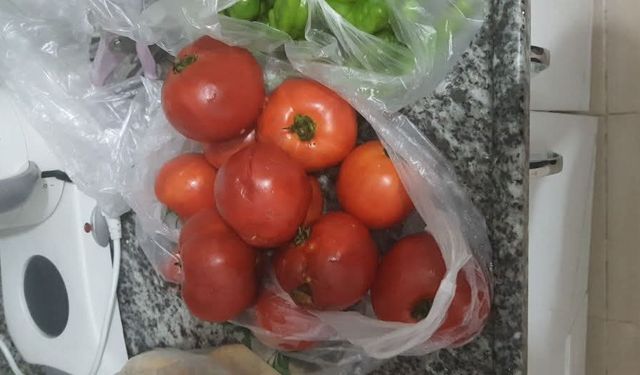 Sivas'ta pazardan aldı şahane, eve getirdi yarısı çöpe!..