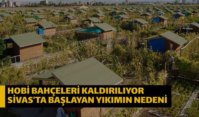 Hobi bahçeleri kaldırılıyor Sivas’ta başlayan yıkımın nedeni