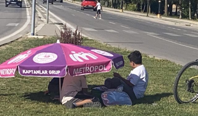 Sıcak yaz günlerinde okul harçlığı için mücadele