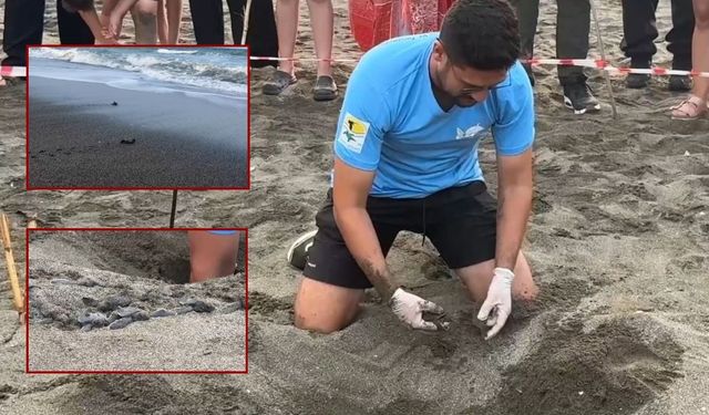 Denizi Olmayan Sivas'tan Akdeniz Sahiline Uzanan Mucize!
