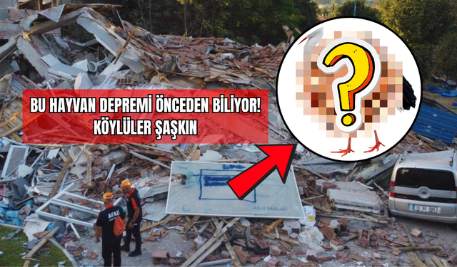 Bu Hayvan Depremi Önceden Biliyor! Köylüler Şaşkın