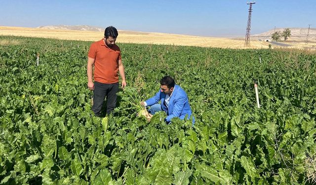 Başkan Çoban: Pancar 3 bin 750 TL olmalı!..