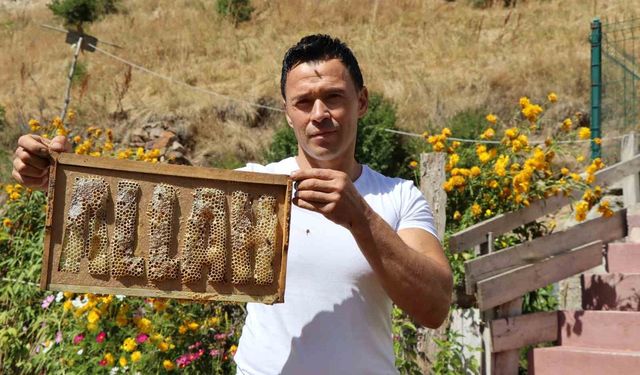 Türk Arıcı Arılarına Yazmayı Öğretti! Çok Şaşıracaksınız!