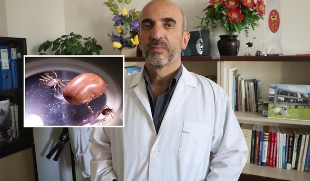 Sivas'tan kene uyarısı: Şimdi mücadele zamanı!..