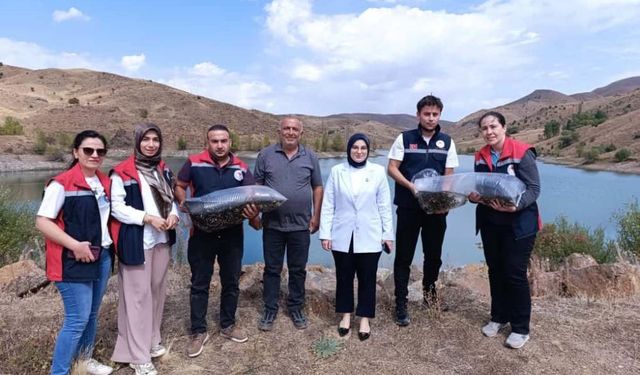 Sivas'ın Göllerine Bereket Yağdı!