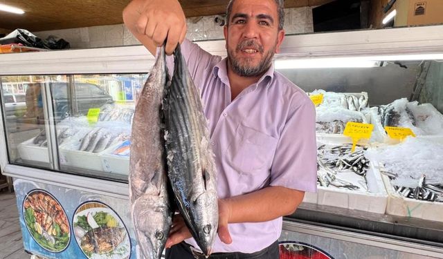 Denizi Yok Ama 54 Ülkenin Sofrasını Donatıyor!