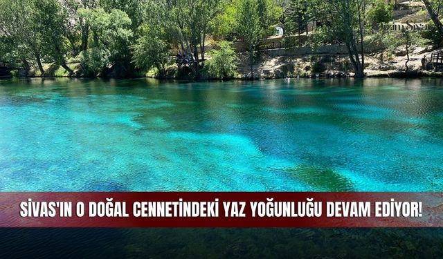 Sivas'ın O Doğal Cennetindeki Yaz Yoğunluğu Devam Ediyor!