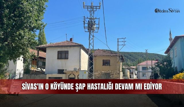 Sivas'ın o köyünde şap hastalığı devam mı ediyor