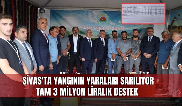 Sivas'ta yangının yaraları sarılıyor