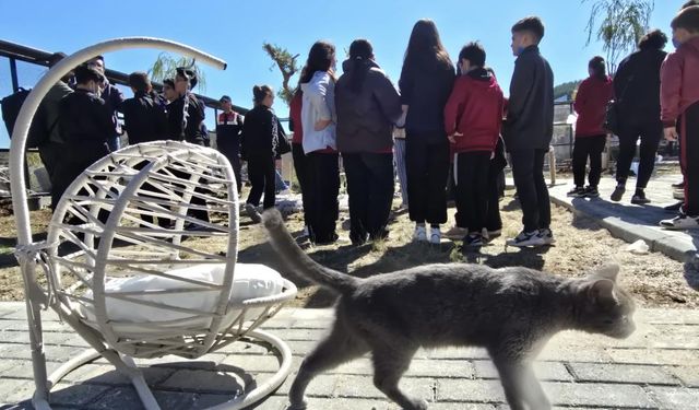 Kedi Oteli açıldı, çocuklar akın etti: “Burası gerçekten çok güzel”