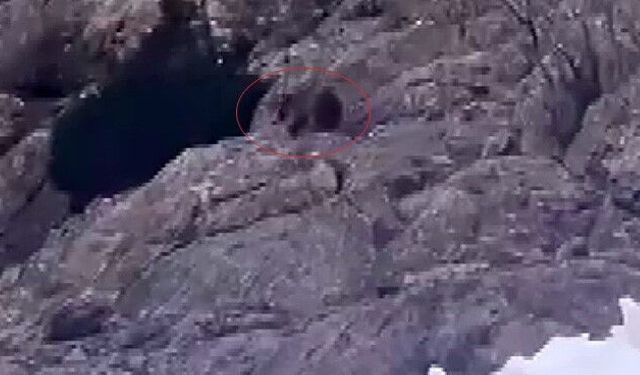 Beyaz Örtünün Altında Hayatta Kalma Mücadelesi!