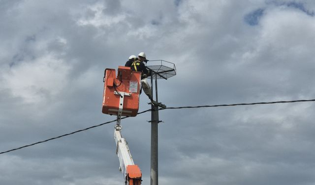 Leylekler ve elektrik hatları barıştı: Binlerce güvenli yuva kuruldu