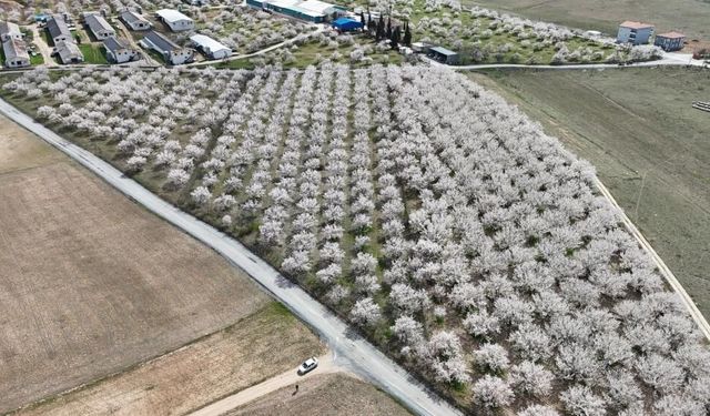 Malatya’nın Beyaz Altını Bu Kez Havadan Görüntülendi!