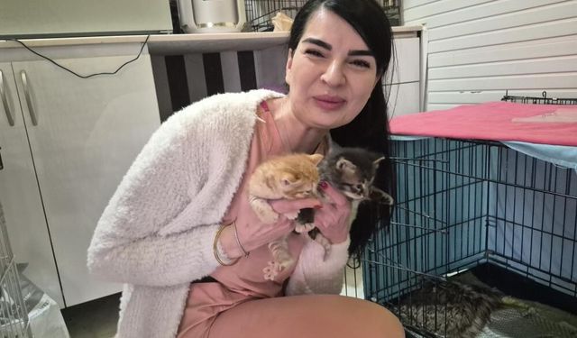 Cama Vurdu, Yardım İstedi! İçeri Girdikten Günler Sonra Olanlar İnanılmaz