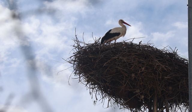Onlar Gelince Mevsim Değişiyor… Yılların Geleneği Devam Ediyor
