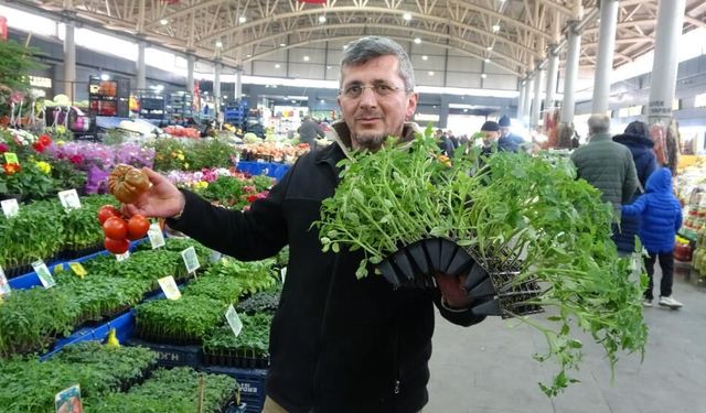 Sivas’ta Fide ve Tohuma Yoğun İlgi: Bahçesi Olan Aynı Yola Girdi