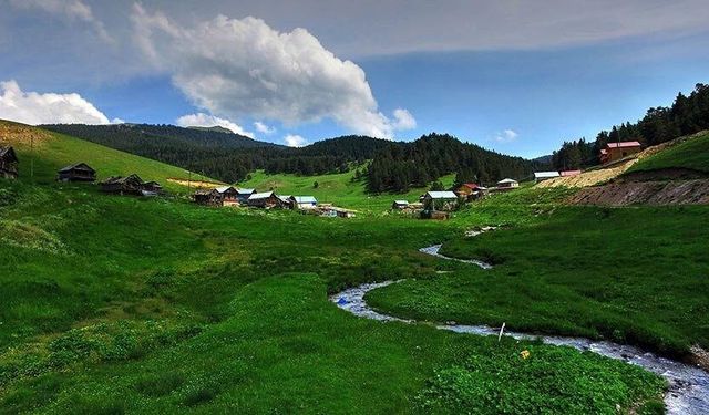 Görenler Batı Karadeniz Sanıyor Bu Doğa Harikası Sivas’ta