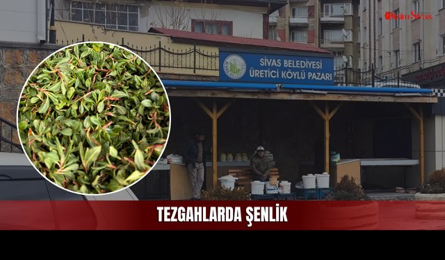 Yılın İlk Madımakları Sivas'ta Tezgahlara Geldi!