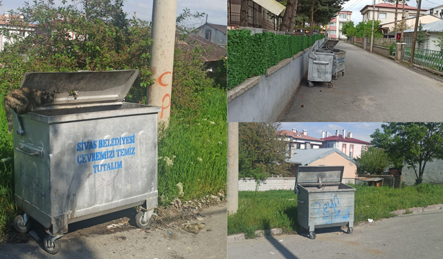 Kurban Bayramında Sivas’tan Örnek Tablo