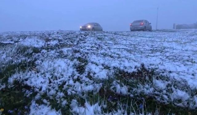 Mayıs Sürprizi Aniden Bastıran Kar