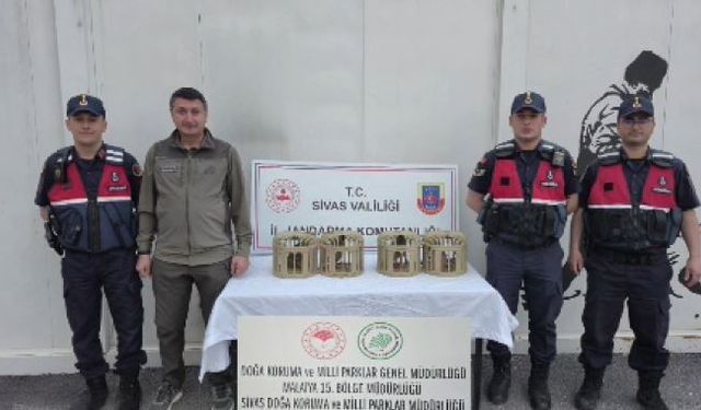 Sivas’ta Kaçak Avcılığa Geçit Yok!