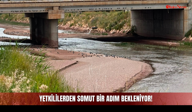 Irmaktan Gelen Kötü Koku ve Sivrisinekler İçin Vatandaş Somut Bir Adım Bekliyor!
