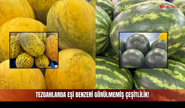 Tezgahlarda Eşi Benzeri Görülmemiş Çeşitlilik!