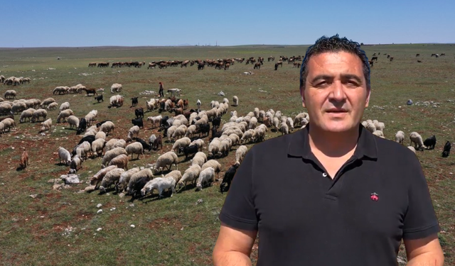 Sivas'taki 7 Köyün Ortak Merası Tehdit Altında!