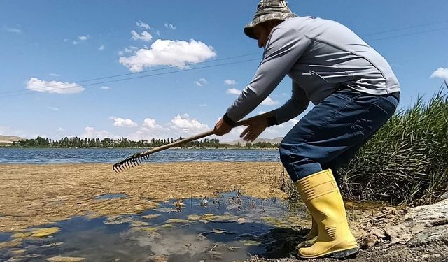 Ulaş Gölü'nde temizlik çalışması yapıldı
